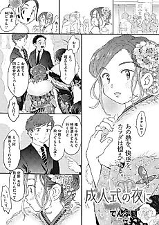Cover image for the manga called Seijinshiki no Yoru ni