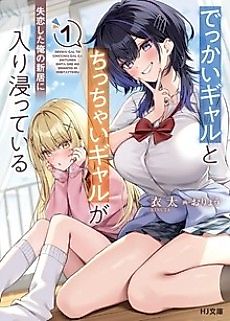Cover image for the novel called Dekkai Gal to Chicchai Gal ga Shitsuren Shita Ore no Shinkyou ni Iribitatteiru
